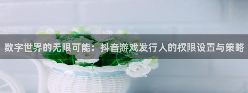 陕西省西安市db电竞子文化创意：数字世界的无限可能：抖音游戏发行人的权限设置与策略