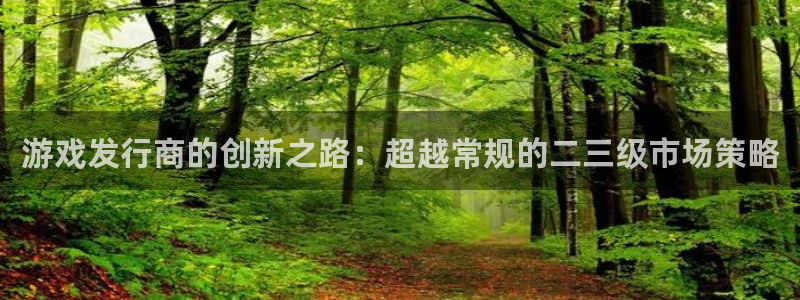 db电竞子年度最佳图书：游戏发行商的创新之路：超越常规的二三级市场策略