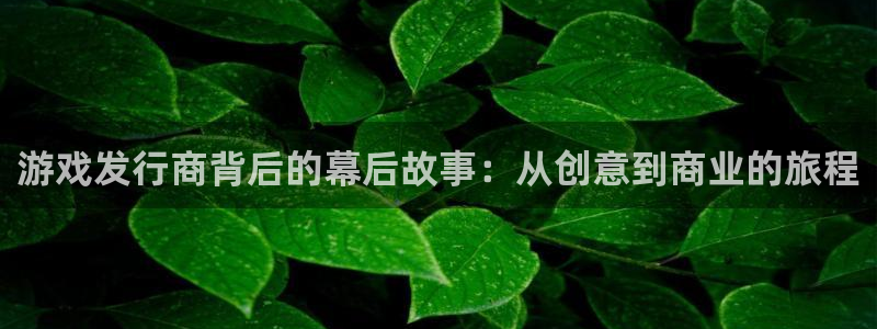 db电竞官网是赌博么：游戏发行商背后的幕后故事：从创意到商业的旅程