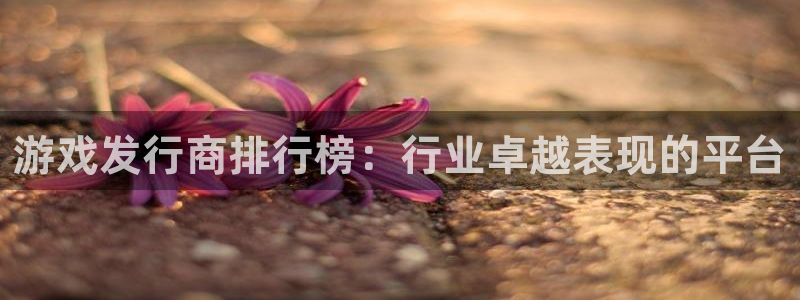 江苏db电竞：游戏发行商排行榜：行业卓越表现的平台