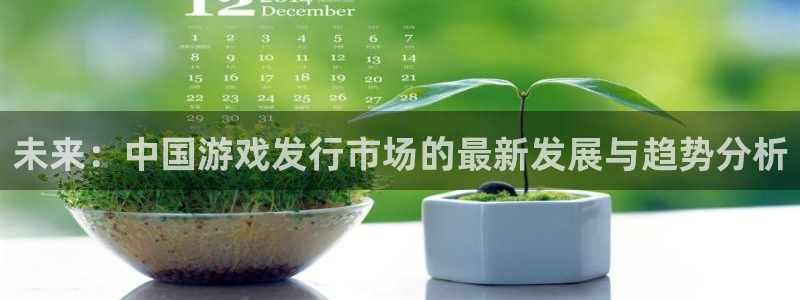 db电竞官网招商主管