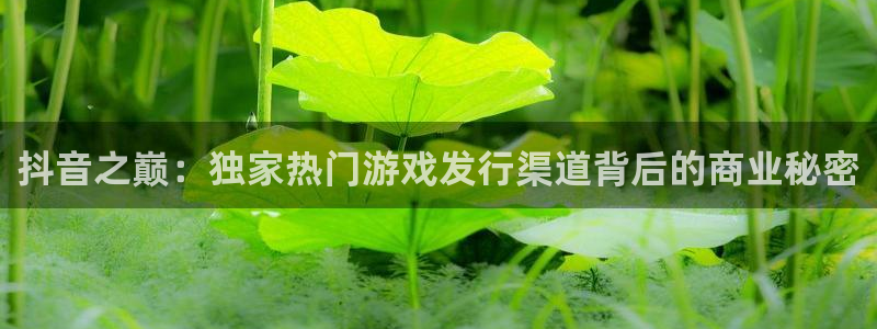 db电竞官网注册平台登录不了：抖音之巅：独家热门游戏发行渠道背后的商业秘密