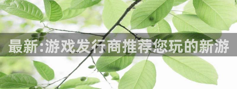db电竞官网代理开号怎么开：最新:游戏发行商推荐您玩的新游