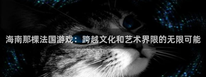 db电竞怪兽：海南那棵法国游戏：跨越文化和艺术界限的无限可能