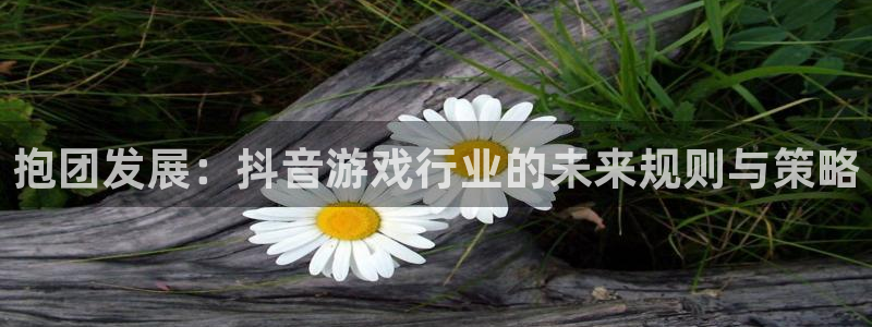 db电竞子代表什么意思：抱团发展：抖音游戏行业的未来规则与策略
