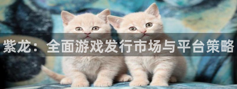db电竞主管：紫龙：全面游戏发行市场与平台策略