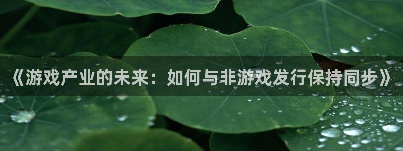 db电竞防水的质量怎么样：《游戏产业的未来：如何与非游戏发行保持同步》