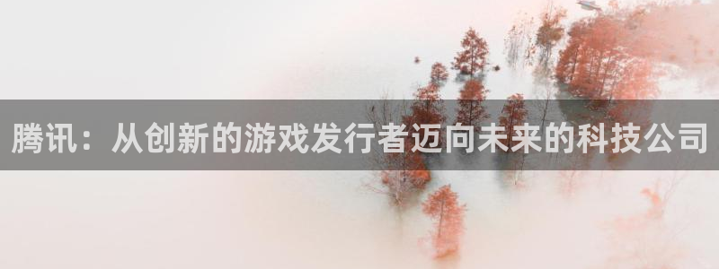 db电竞官网注册方法有哪些软件：腾讯：从创新的游戏发行者迈向未来的科技公司