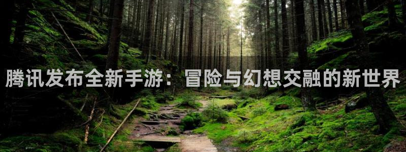 db电竞子写作课