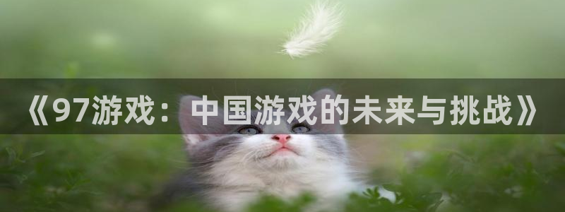 db电竞电子商务怎么样