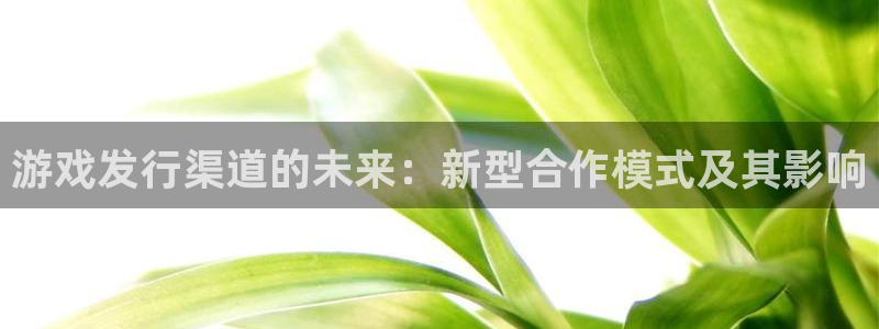 陕西省西安市db电竞子文化创意：游戏发行渠道的未来：新型合作模式及其影响