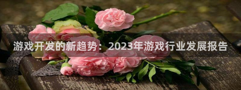db电竞官网奇趣腾讯分分彩：游戏开发的新趋势：2023年游戏行业发展报告