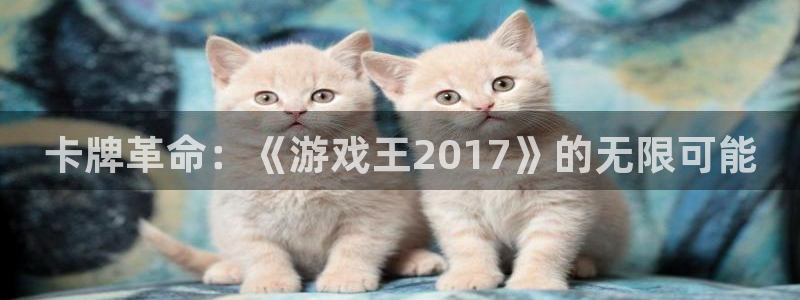 db电竞官网平台合法吗：卡牌革命：《游戏王2017》的无限可能