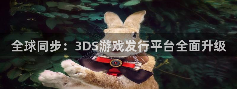 db电竞电子商务有限公司怎么样啊